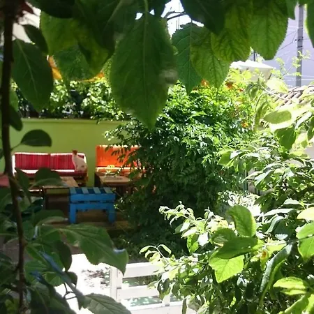 Hostel Backpackers *