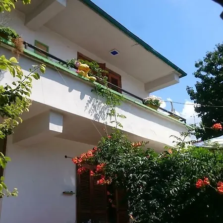 Backpackers Hostel *